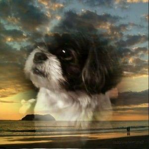 Meet your Posher, Jackie